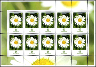 Zehnerbogen Margerite